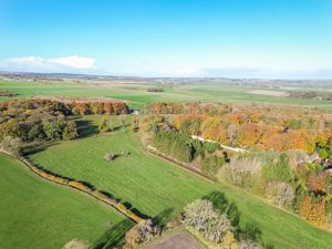 Photo 42- click for photo gallery